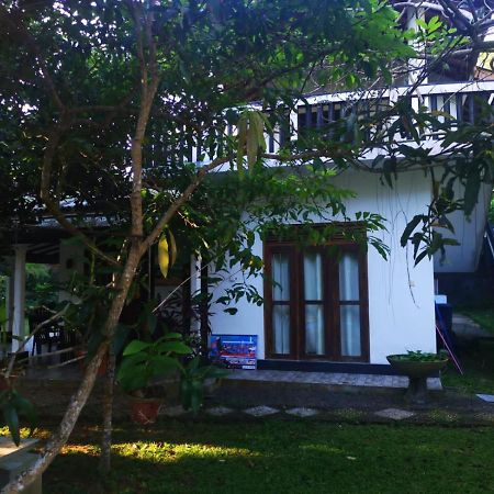 Villa Green Cottage Hikkaduwa Eksteriør billede