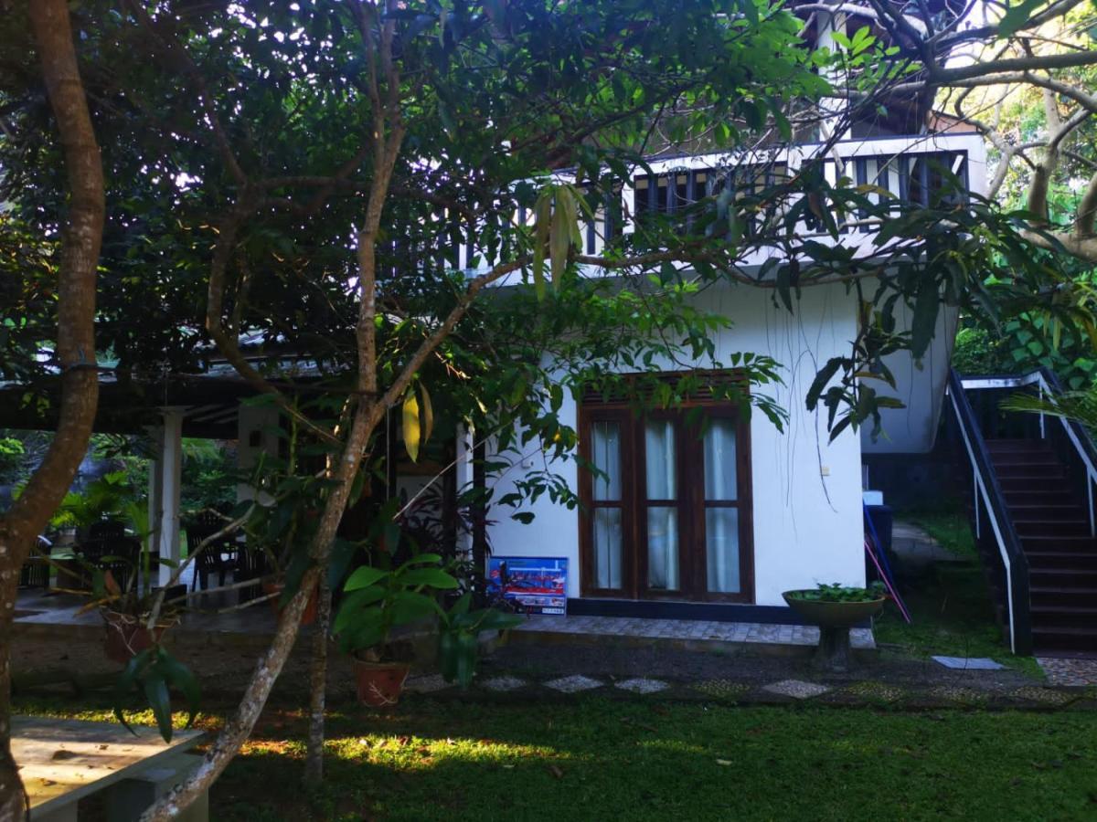 Villa Green Cottage Hikkaduwa Eksteriør billede
