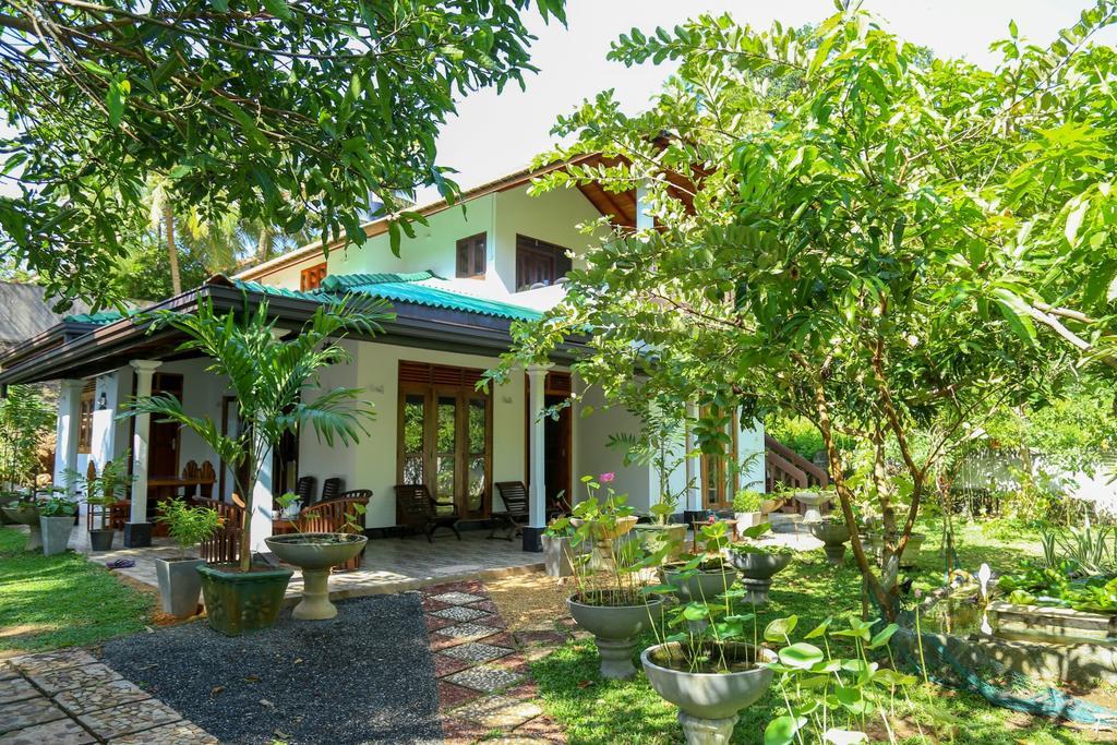 Villa Green Cottage Hikkaduwa Eksteriør billede