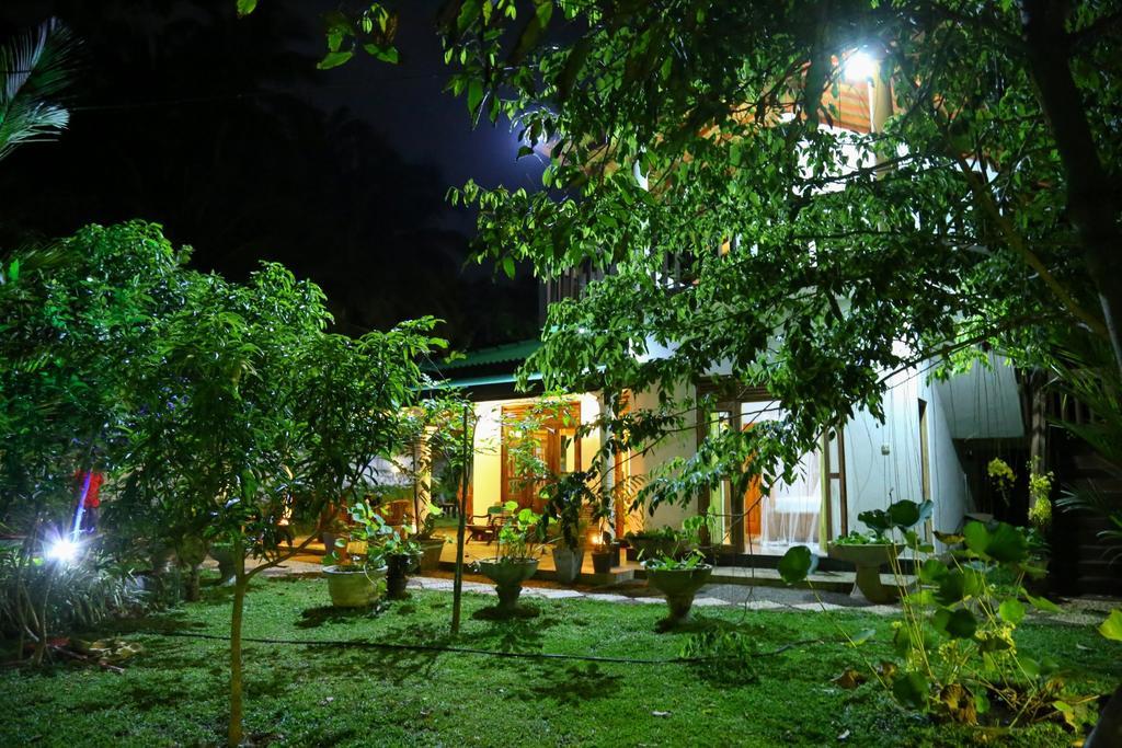 Villa Green Cottage Hikkaduwa Eksteriør billede